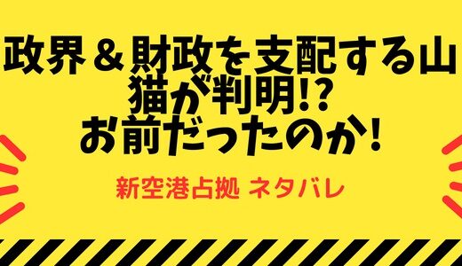 『新空港占拠』山猫が判明!? お前だったのか!【ネタバレ】