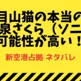 二代目山猫の本当の正体は和泉さくら（ソニン）の可能性が高い